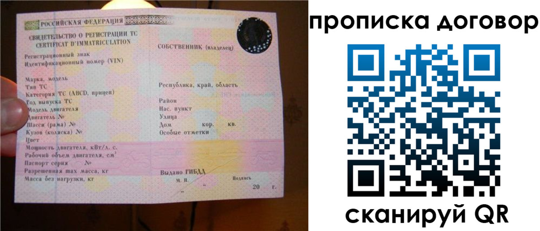 временная регистрация поиск в Звенигово